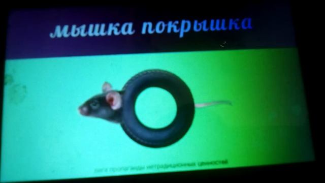 Мышка покрышка смотреть онлайн