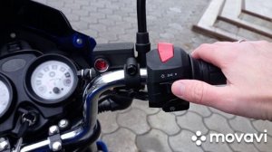 Пародистый Индийский конь TVS 150