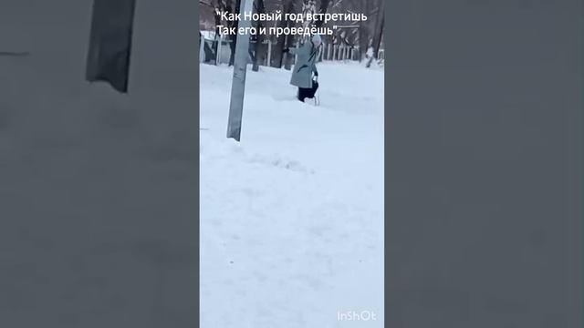 🤭 смотреть онлайн