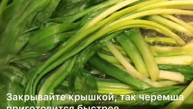 Закусочная сюрприз