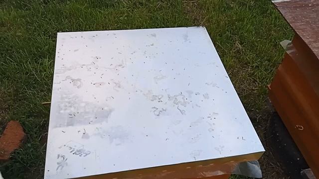 Как получить хороших маток. Готовимся к продаже пчело пакетов. Кормлю семьи - воспиталки. смотреть онлайн