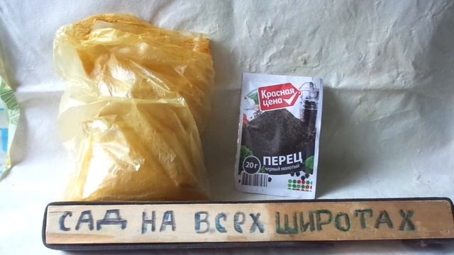 Как пить КУРКУМУ с чёрным молотым ПЕРЦЕМ. смотреть онлайн