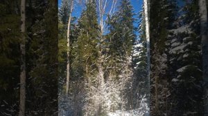 №65 Настройка и синхронизация волновых структур