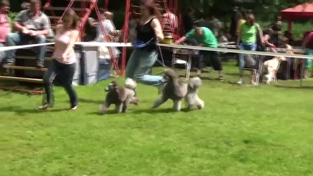 МОН РЕНЕССАНС ДАМА В ГОЛУБОМ смотреть онлайн