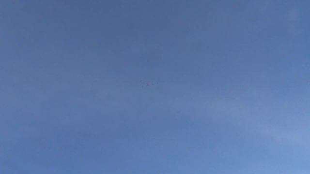 полёт типплеров 16 12 2013г2 смотреть онлайн