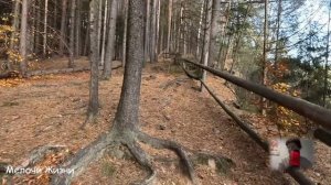 Бомжиха вбежала в больницу с младенцем и умоляла спасти, но едва узнали чей ребёнок...