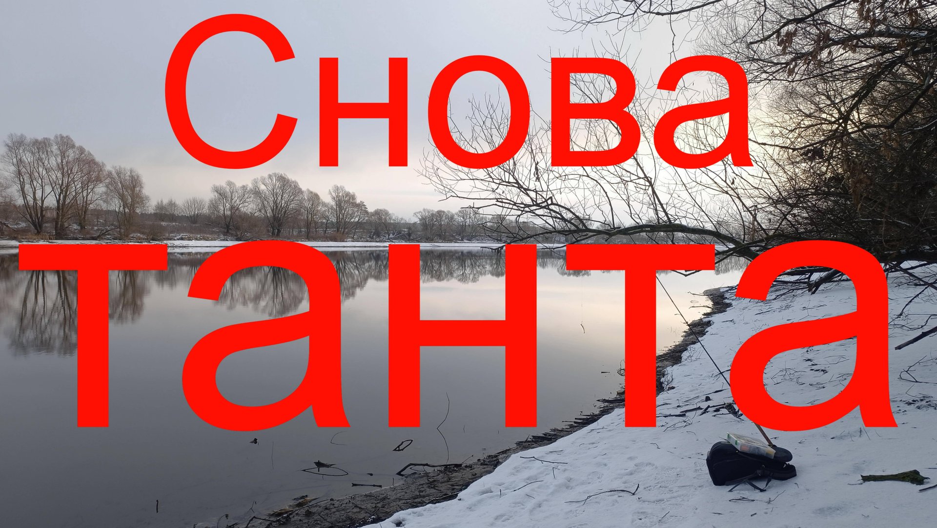 Снова танта. Москварека. р-н Бронниц. 26.12.2024.