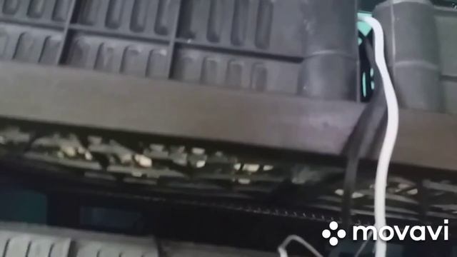 Закладка яиц в новый инкубатор . смотреть онлайн