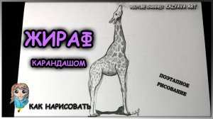Как нарисовать ЖИРАФА карандашом. Поэтапное рисование 2022г