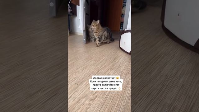 Лайфхак смотреть онлайн