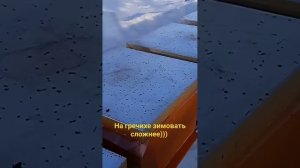 Сложная зимовка на гречишном и золотарниковом меду.