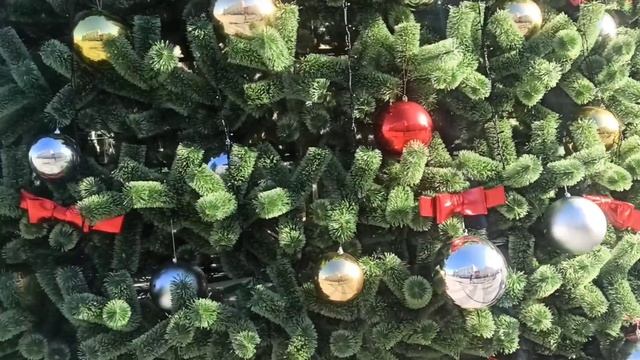 Новогодняя Феодосия: наша ёлка самая красивая! смотреть онлайн