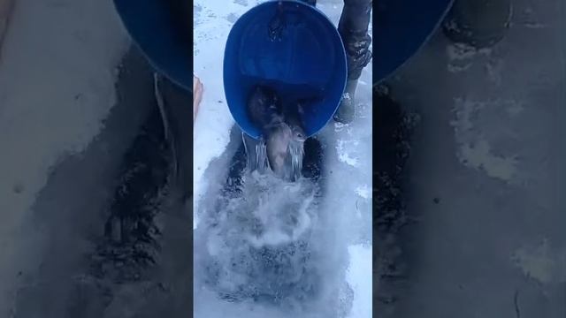 запуск смотреть онлайн