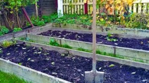 Снег в теплицах.  Польза или вред?