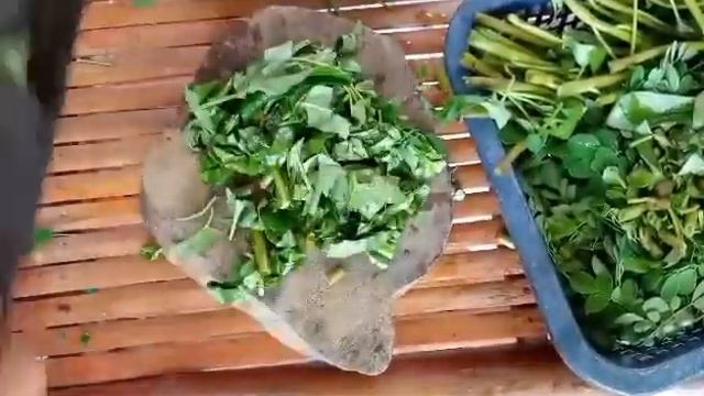 How to Ferment FPJ with Niña and Ariel смотреть онлайн