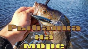 😄🌈 Летний отдых и рыбалка на море в Каспийске, Дагестан.