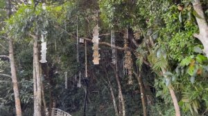 Хайнань 2024, парк Феникс, как добраться с Дадунхая? что посмотреть на Хайанане? Санья 2024