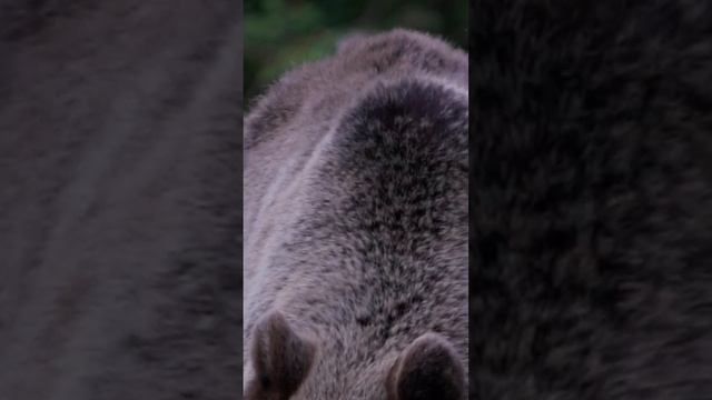 Грядет перемена мест слагаемых смотреть онлайн