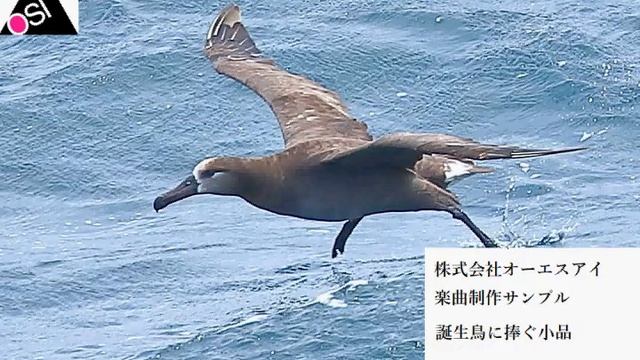 【1日1曲作曲チャレンジ】 誕生鳥に捧ぐ小品 241 クロアシアホウドリ смотреть онлайн