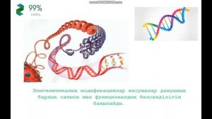 Биология 11-сынып. 3-тоқсан. Эпигенетика ұғымы.Эпигенетика және эпигеномика.