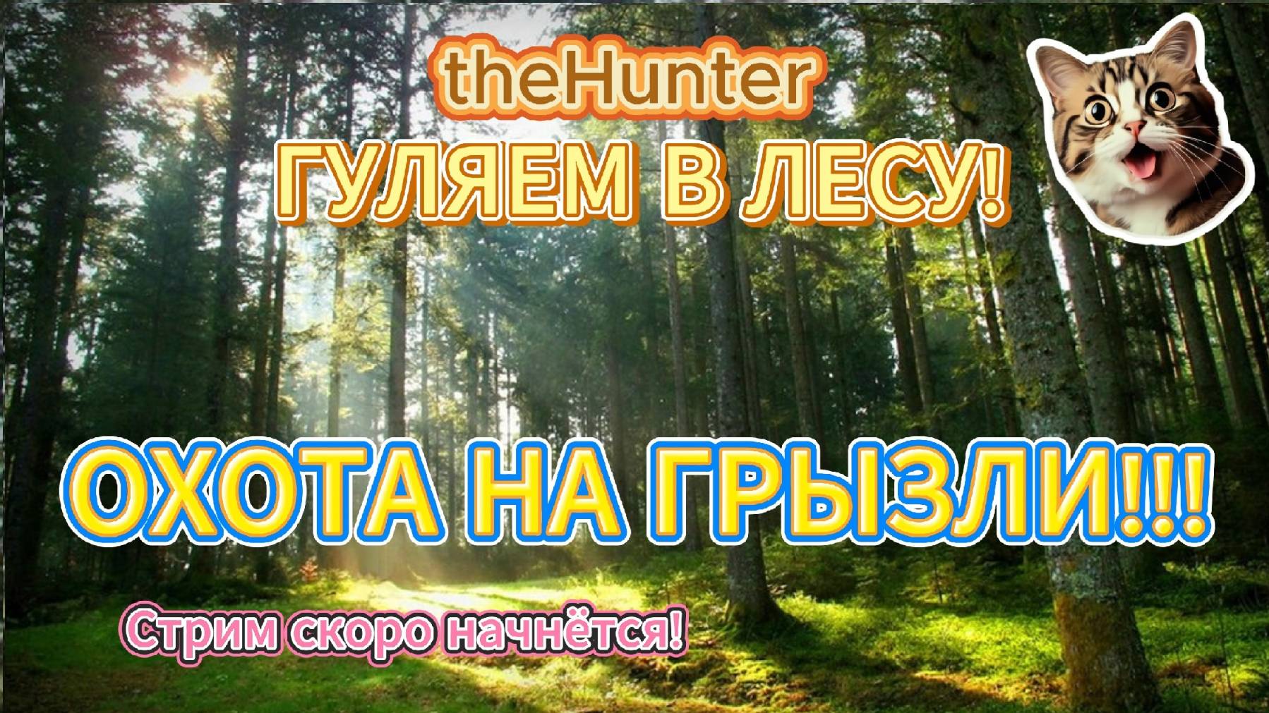 theHunter #13 Гуляем в лесу! ОХОТА НА ГРЫЗЛИ!!! смотреть онлайн