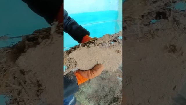 Производство дубайского шоколада в деревне 😄 смотреть онлайн