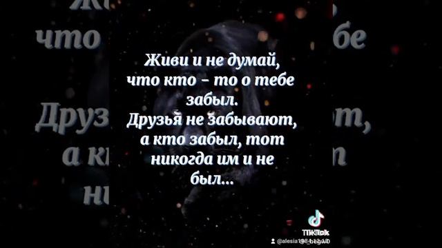 Мудрые цитаты смотреть онлайн