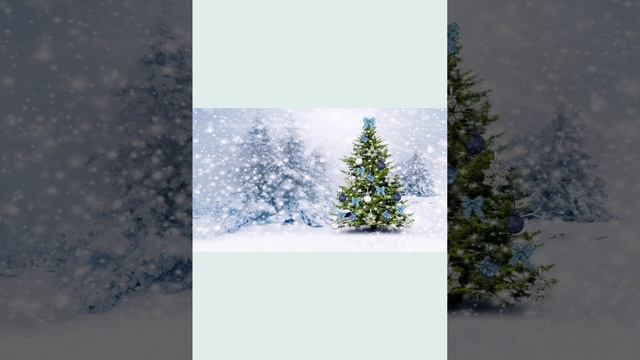 В лесу родилась ёлочка . 🎄Исполняют Амелия и Елена Баталовы . смотреть онлайн