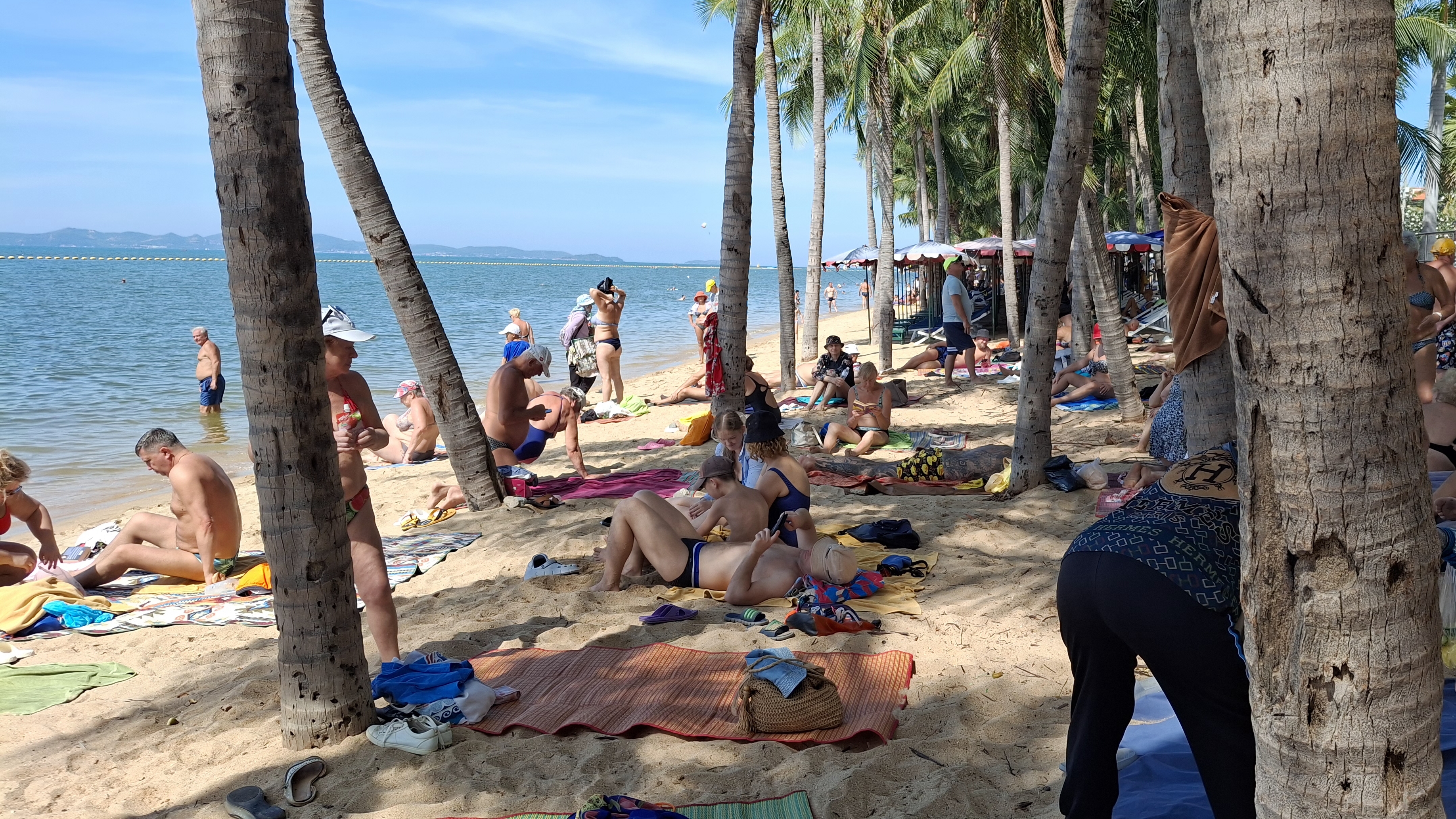 С утра на пляже Донг Тан,  после обеда в бассейне. 2024