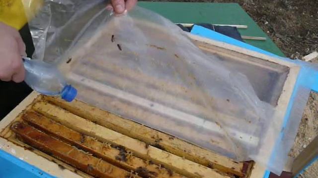 Обработка пчелиных семей от клеща. смотреть онлайн