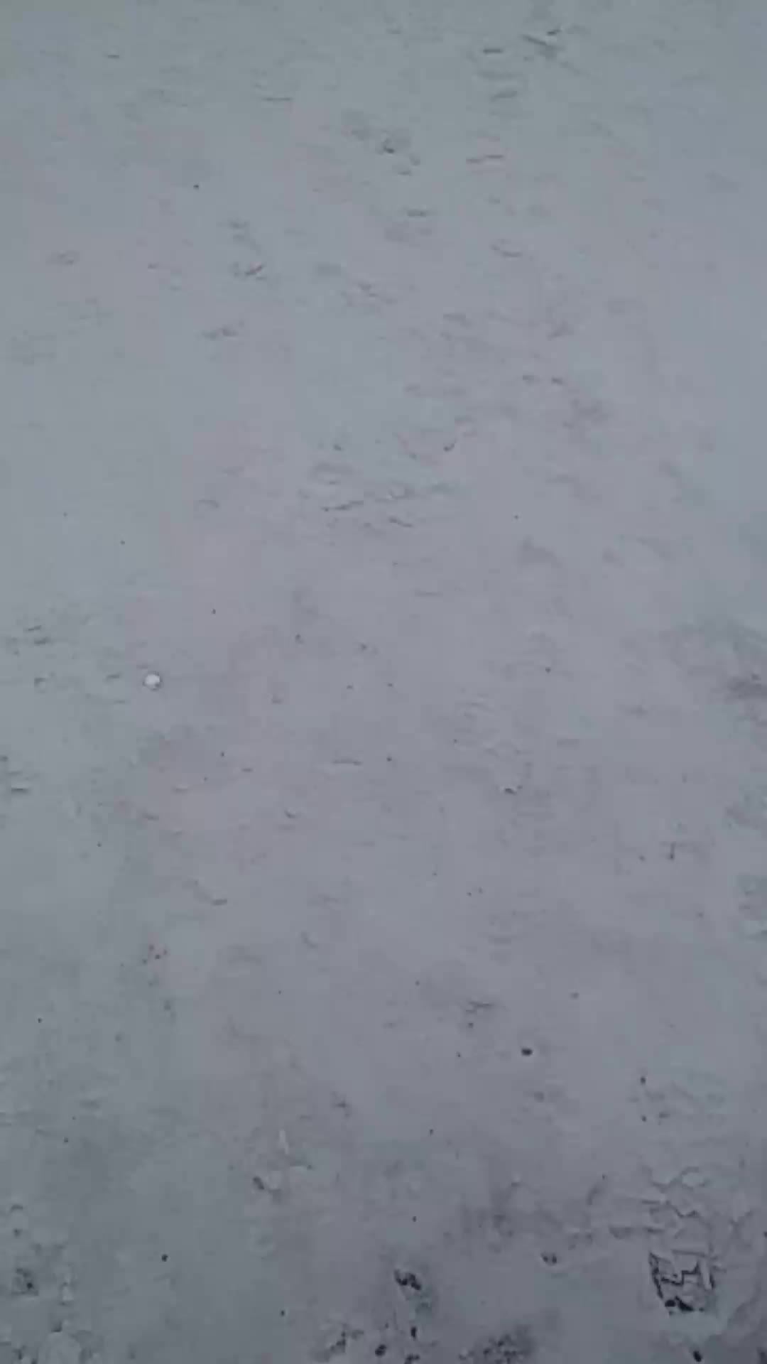 заходим в стрим в тик ток смотреть онлайн