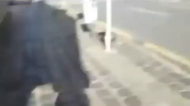 Vídeo mostra jovem de 18 anos Torcedora do coxa sendo agredida por policiais no Paraná смотреть онлайн