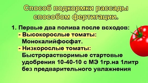 Фертигация для коренастой рассады томатов. Подробно для начинающих.