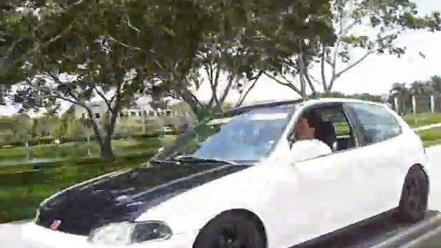 Nitido Performance смотреть онлайн