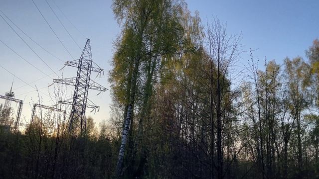 Прогулка с собакой