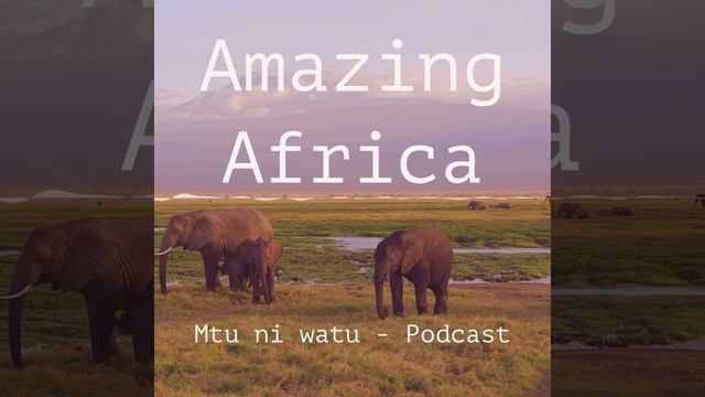 Amazing Africa смотреть онлайн