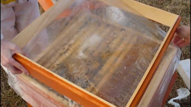 Тепла нет. Продолжаем стимулировать пчёл. смотреть онлайн