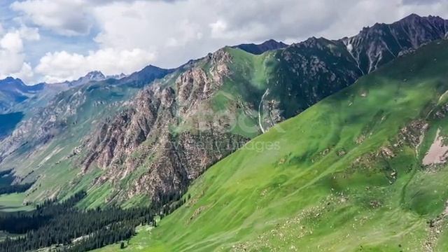 Savoring Solitude: Finding Peace in Nature's Embrace смотреть онлайн