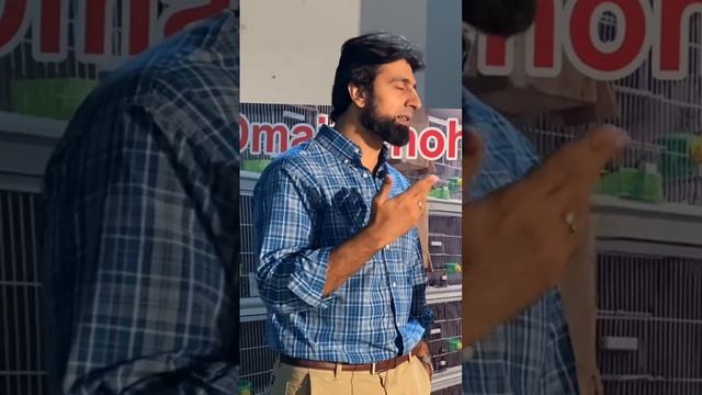 Rahim Ali Dhillon Vision About Lovebirds Hobby смотреть онлайн