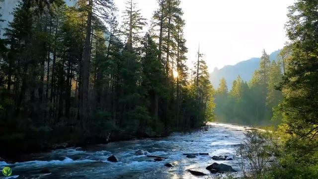 Beautiful Relaxing Music - Stop Overthinking, Stress Relief Music, Sleep Music, Calming Music #96 смотреть онлайн