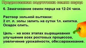 Сажаем перец! подробно для начинающих