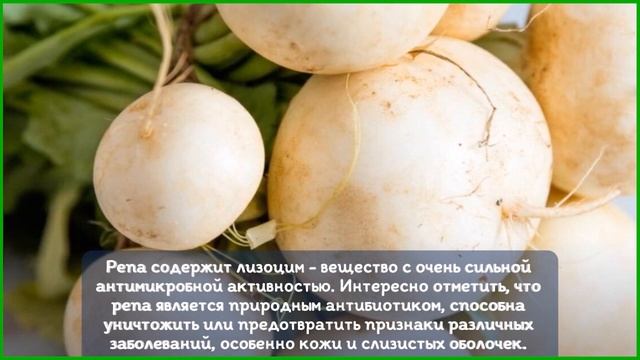 Чем полезна репа? смотреть онлайн