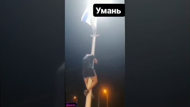 2030609677874592549 смотреть онлайн