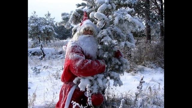 Владимир Толмачев. Новый год смотреть онлайн