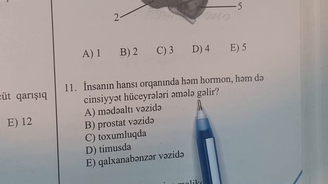 Biologiya. Güvən nəşriyyat test toplusu. İnsan Anatomiyası. Sinir sistemi. Vəzilər. 1-20-ci suallar смотреть онлайн