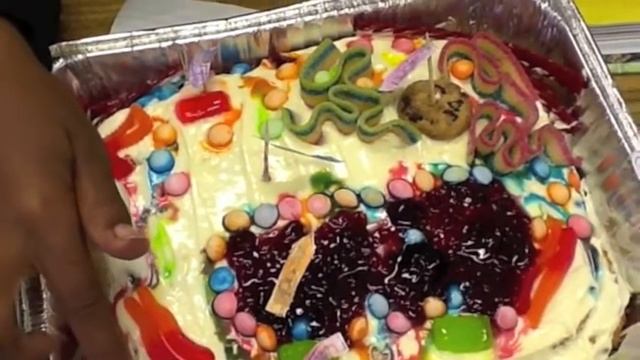 Thomasville Heights Ms. Lynum's 5th Grade Science Class : Plant Cells смотреть онлайн