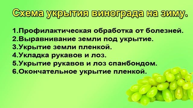 Как укрыть взрослый виноград на зиму. Надежный и простой способ смотреть онлайн