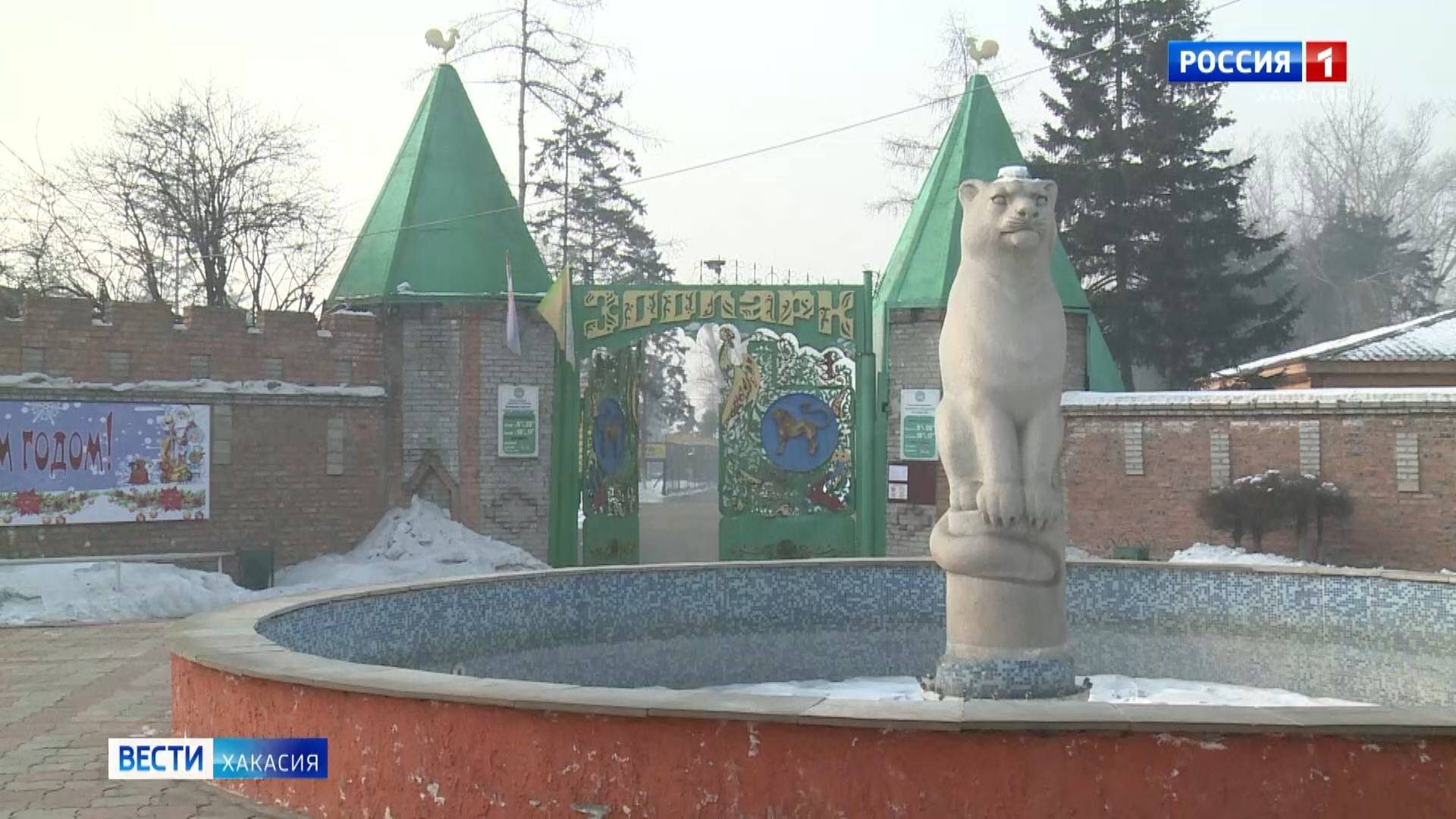 В Абаканском зоопарке – акция! смотреть онлайн