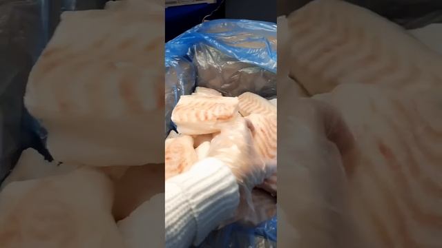 Треска филе спинка! Вкус крабового мяса👍 #азбукасевера смотреть онлайн