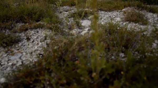 ДИДЖЕРИДУ/ ХАНГ/ ДЖЕМБЕ: РЕЗИДЕНТ ANANDA GLAMPING/KARNASH